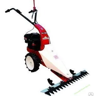 фото Фронтальная сенокосилка Eurosystems M 80 с B&amp;S 450 Series