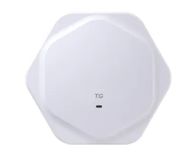 фото Wi-Fi точка доступа TG-NET WA2306