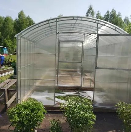 Фото №0 СИБИРСКАЯ ПРОФИ-3