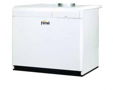 фото Котел Ferroli Pegasus F3 N 289 2S