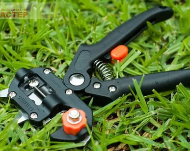 фото Секатор Ariola для прививок ST1218