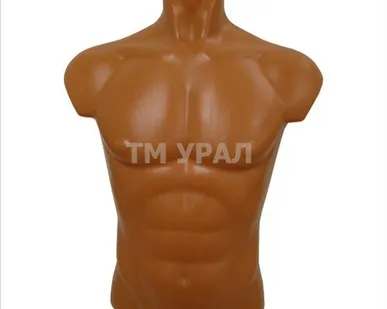 фото Торс мужской объемный Т-402