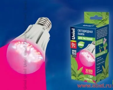 фото Светодиодная лампа для растений 9w