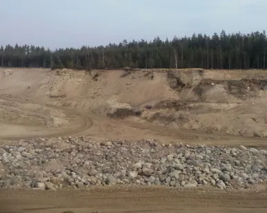 фото Булыжник для габионов