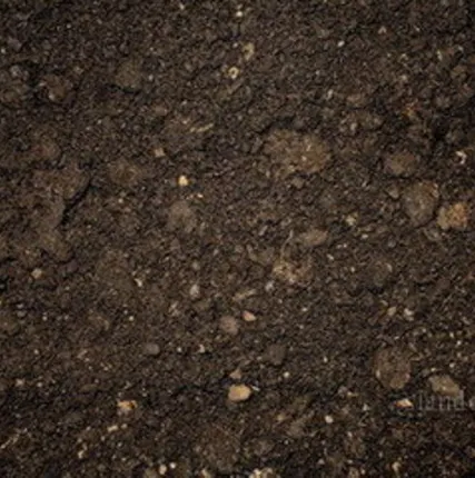 Фото №0 Навоз, грунт