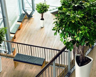фото Оформление интерьеров живыми цветами