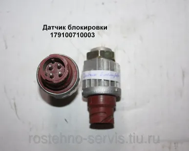 фото Датчик блокировки 179100710003