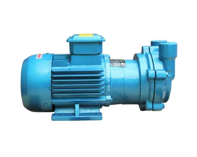 фото Вакуумный водокольцевой насос Ампика ВВН-25-АМ-НЖ