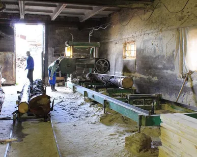 фото ЛЕС- КРУГЛЯК