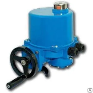 фото Электропривод ГЗ-ОФ-2500/30