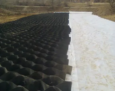 фото Георешетка GP 160*160*20