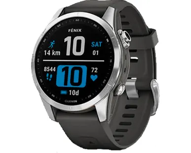 фото Часы Garmin Fenix 7S серебристый с графитовым силиконовым ремешком