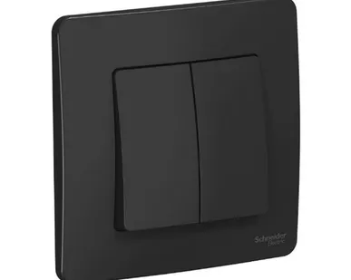 фото Schneider Electric Выключатель 2-кл. СП Blanca 10А IP20 250В антрацит BLNVS010506 Schneider Electric