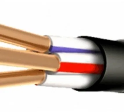 Фото №0 Кабель ВБбШв-0,66 4х25