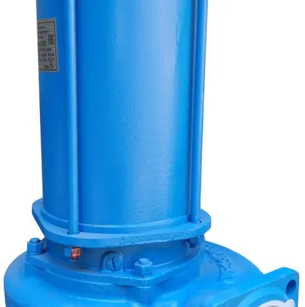 Фото №0 Дренажный насос ГНОМ 53-10 (Ливны)