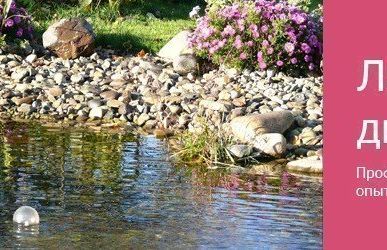 фото Ландшафтный дизайн водоёма