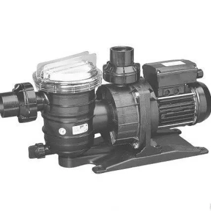 Фото №0 Насос NOCCHI SWIMMEY 28 T