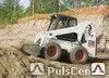 фото Аренда Bobcat S300, минипогрузчик (Бобкэт)