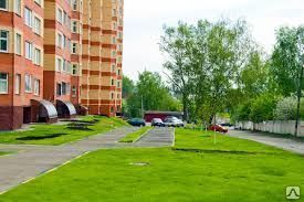 фото Озеленение территории