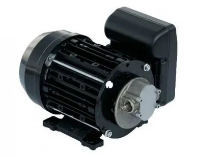 фото Насос Piusi Garda 5 220V