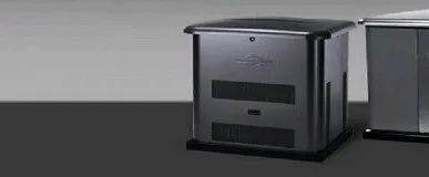 фото Генератор газовый Briggs&amp;Stratton 040495