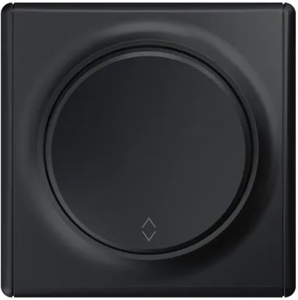 Фото №0 Переключатель 1-кл. СП Florence механизм черн. 1E31401303 OneKeyElectro 2172821
