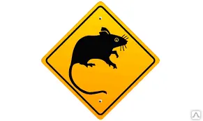 фото Дератизация парков от крыс