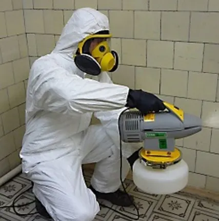 Фото №0 Дезинсекция, уничтожение вредных насекомых.