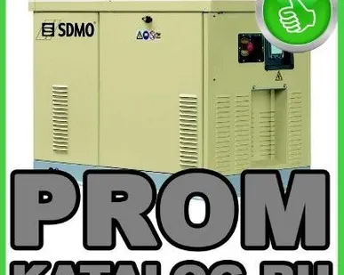 фото Газовые электростанции (газовые генераторы) SDMO