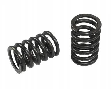 фото Пружина подушки двигателя 2101