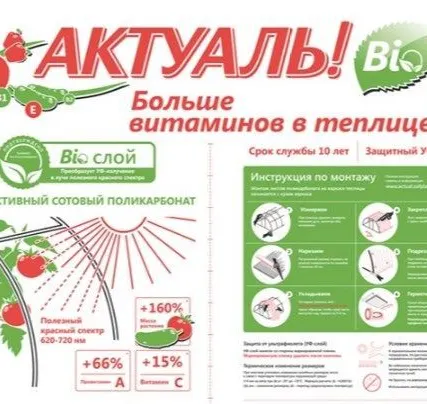 Фото №0 Поликарбонат сотовый 4мм Actual Bio