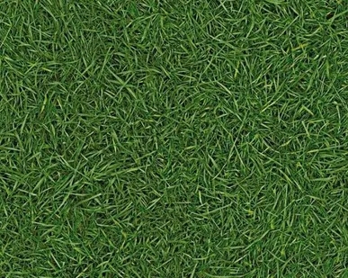 фото Линолеум бытовой IVC NEO Grass 25, 2.5м