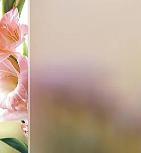 фото Стекло-Сатин Гласс 4М1 бронза 2550*1605