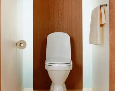 фото Унитазы Gustavsberg