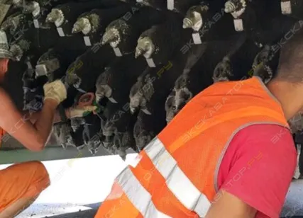 Фото №1 Аренда ресайклера (рециклера) Wirtgen WR 2500, Санкт-Петербург