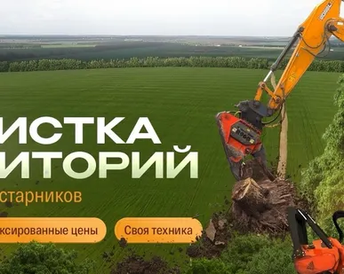 фото Спил деревьев и кустарников, мульчирование