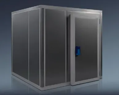 фото Дверь распашная для камер "шип-паз" без пола 1200х2300 / 900х2000