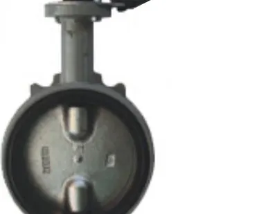 фото Затвор дисковый поворотный межфланцевый Ду65 Ру16 Giacomini R59WX006