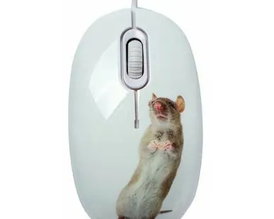 фото Мышь CBR Capture White USB