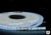 фото 14,4 Вт/м Светодиодная лента SMD5050 открытая (IP33) Теплый белый 12V