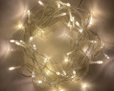 фото Гирлянда светодиодная "Нить" 5м 48LED 24В IP44 тепл. свет ( без трансформатора  Б0041911) ЭРА Б0041904