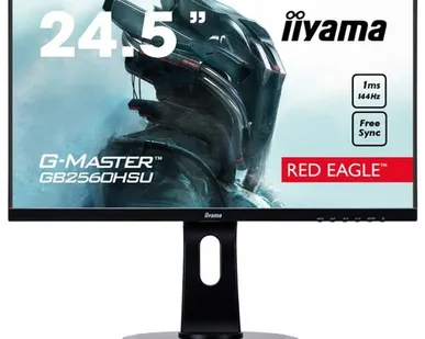 фото Монитор Iiyama G-Master