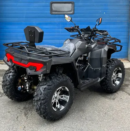 Фото №3 Квадроцикл Loncin 300 «Черный»