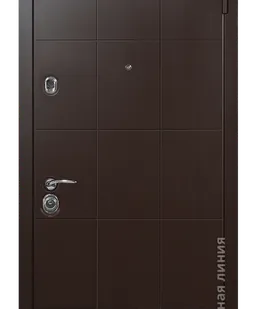 фото Входная дверь Степ STEP.M73M.1