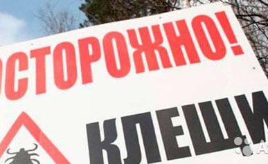 фото Уничтожение клещей на дачном участке