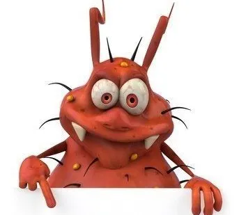 фото Дезинсекция помещения от клопов