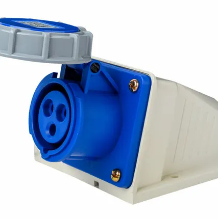 Фото №0 DEKraft Розетка стац. 2Р+РЕ 32А 220В IP67 РС-103