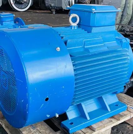 Фото №3 Электродвигатель 5аи 250 М6 55/1000 IM 1001