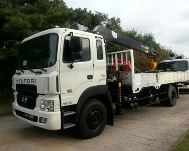 фото Бортовой Hyundai HD 170 c КМУ HIAB 190TM