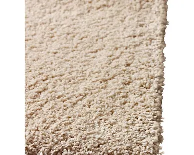 фото Химическая чистка длинноворсового ковра на дому.